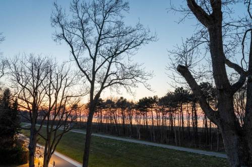 Beach, Strandhaus Zingst Apartment 05 in Zingst Beach, Strandhaus Zingst Apartment 05 in Zingst