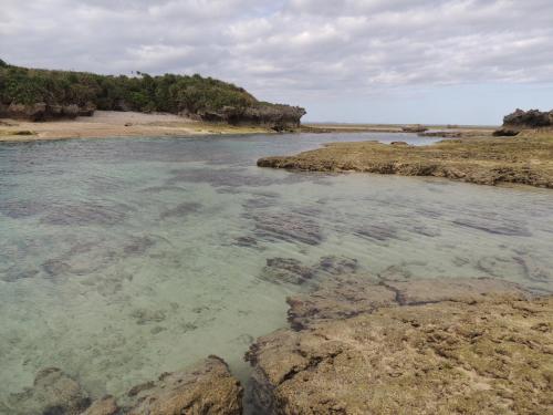 Beach, びせ崎の宿 海潮音 in Okinawa Main island Beach, びせ崎の宿 海潮音 in Okinawa Main island