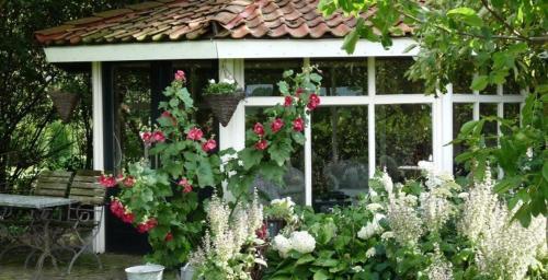 View, Bed & Breakfast Hongerdyck in Bergentheim View, Bed & Breakfast Hongerdyck in Bergentheim