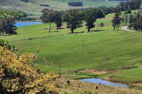 Hilltop Farm Valley View Cottage in Howick Hilltop Farm Valley View Cottage in Howick
