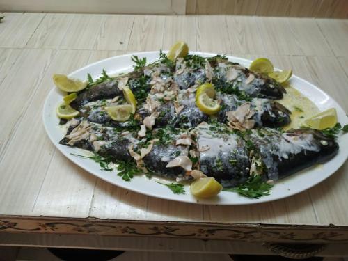 Maison d'hotes Jnan Atlas in Other Maison d'hotes Jnan Atlas in Other