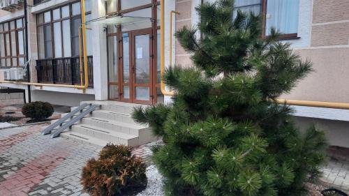 Белая Жемчужина in Gelendzhik Белая Жемчужина in Gelendzhik