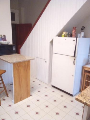 Konyha, Orange Wildflowers near Shockoe Slip Konyha, Orange Wildflowers near Shockoe Slip