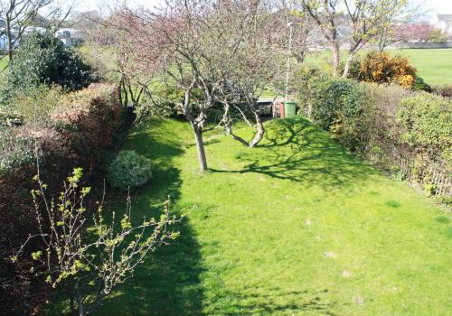 Garden, Sylvan Orchard in Gullane Garden, Sylvan Orchard in Gullane