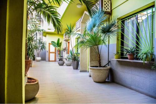 Сад, Ganalé Hôtel (Ganale Hotel) in Дакар Сад, Ganalé Hôtel (Ganale Hotel) in Дакар