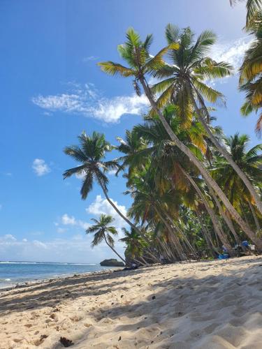 Surrounding environment, Il Triangolo Hostel in Las Galeras Surrounding environment, Il Triangolo Hostel in Las Galeras