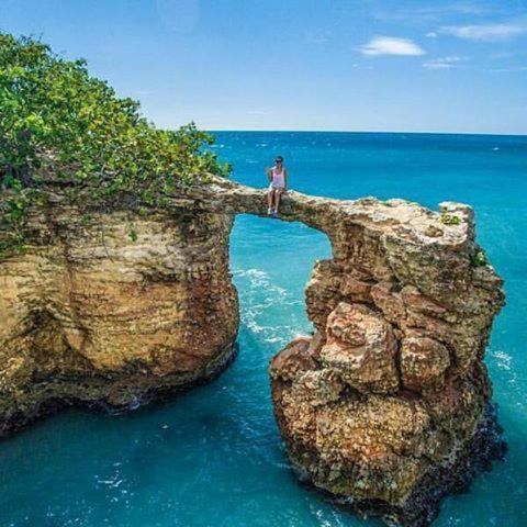Combate Green House in Cabo Rojo Combate Green House in Cabo Rojo