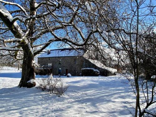 ทัศนียภาพภายนอกโรงแรม, Spacious Holiday Home in Vaux-sur-Sure with Garden in ลิบรามองท์ ทัศนียภาพภายนอกโรงแรม, Spacious Holiday Home in Vaux-sur-Sure with Garden in ลิบรามองท์