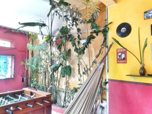 Leo's Clan Beach Hostel in Paraty Leo's Clan Beach Hostel in Paraty