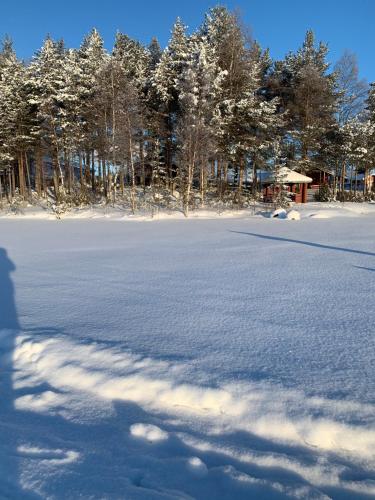 Surrounding environment, Lohelanranta in Kemijarvi Surrounding environment, Lohelanranta in Kemijarvi