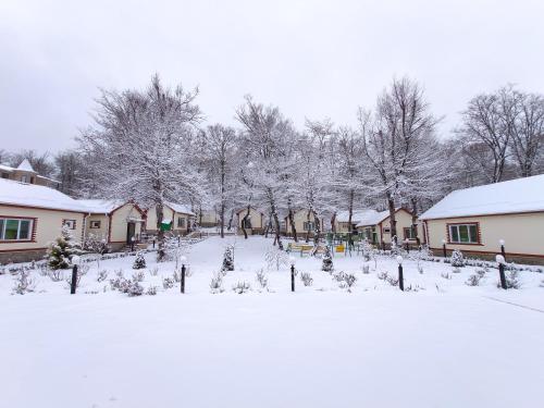 Selena in กูซาร์ Selena in กูซาร์