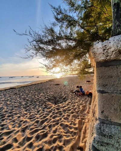 Strand, Villa Petit-Père - à 400m de la plage (Villa Petit-Pere - a 400m de la plage) in Lanton Strand, Villa Petit-Père - à 400m de la plage (Villa Petit-Pere - a 400m de la plage) in Lanton