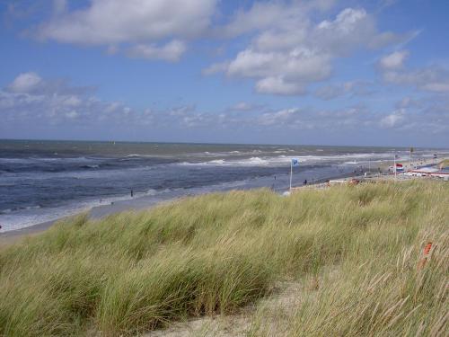 Studio de Aankomst in Texel Studio de Aankomst in Texel