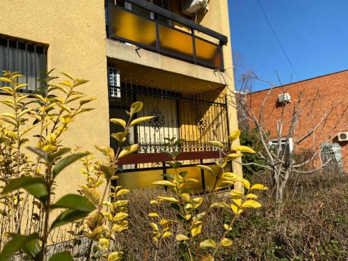 Näkymä ulkoa, Pálma apartman (Palma apartman) in Szentes Näkymä ulkoa, Pálma apartman (Palma apartman) in Szentes