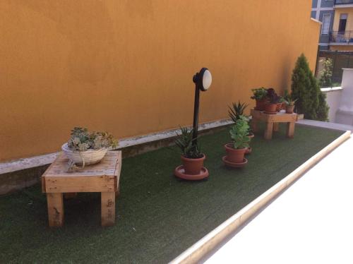 Garden, Appartamento Piccola Perla in Cologno Monzese Garden, Appartamento Piccola Perla in Cologno Monzese