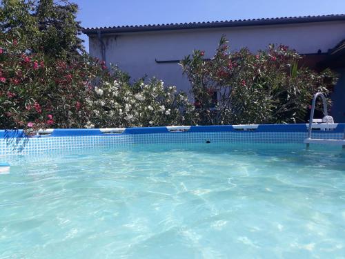 Úszómedence, Ferienwohnungen Sattler in Sankt Andra Bei Frauenkirchen Úszómedence, Ferienwohnungen Sattler in Sankt Andra Bei Frauenkirchen