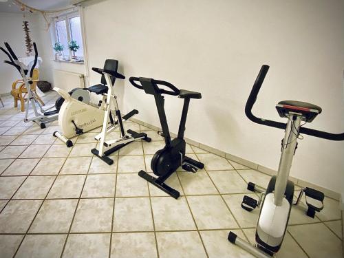 Fitness center, Meister BAR HOTEL Wettiner Hof in Glauchau Fitness center, Meister BAR HOTEL Wettiner Hof in Glauchau
