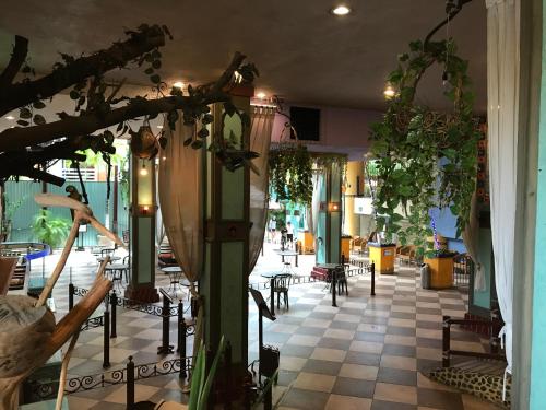 Lobby, Hotel Club del Sol Acapulco by NG Hoteles in Acapulco City Center Lobby, Hotel Club del Sol Acapulco by NG Hoteles in Acapulco City Center