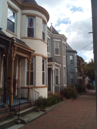Orange Wildflowers near Shockoe Slip Orange Wildflowers near Shockoe Slip