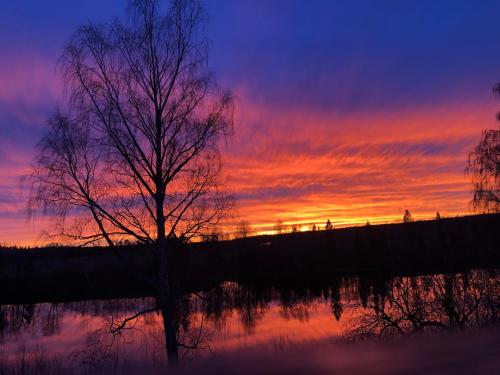 Alrededores, Fisherman s Cottage overlooking the river in Avesta Alrededores, Fisherman s Cottage overlooking the river in Avesta
