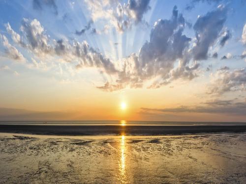 Vogelzug, Ferienwohnung fur 4 Persoen - Erwachsene oder Kinder - in DE FEERJENHUSEN am Haubarg von V in Vollerwiek Vogelzug, Ferienwohnung fur 4 Persoen - Erwachsene oder Kinder - in DE FEERJENHUSEN am Haubarg von V in Vollerwiek