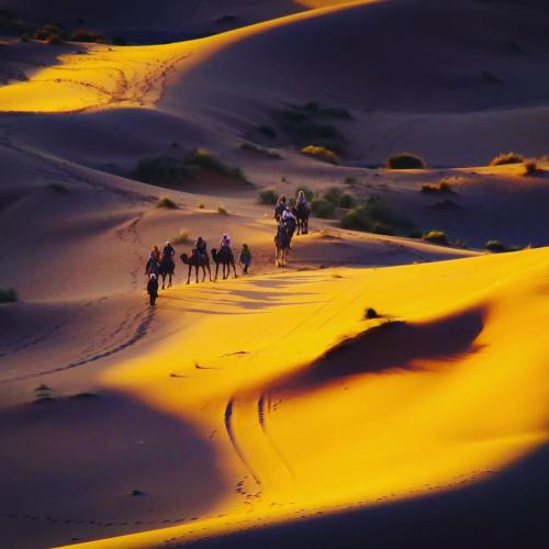 Enjoy Moda Camp Merzouga tours- Camel sunset sunrise Quad Sunboarding ATV in Merzouga Enjoy Moda Camp Merzouga tours- Camel sunset sunrise Quad Sunboarding ATV in Merzouga