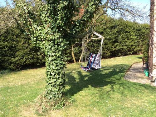 Garden, Penzion Sport in Trebon Garden, Penzion Sport in Trebon