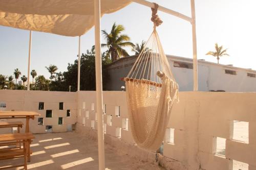 Hotel Casa Ceci Inn in ซาน โจส เดล คาโบ้ Hotel Casa Ceci Inn in ซาน โจส เดล คาโบ้
