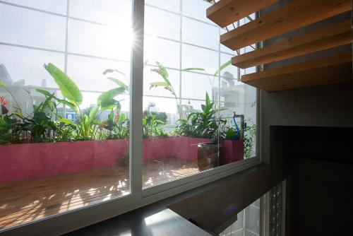 Balcony/terrace, Soc House 1 in Phuong 4 Balcony/terrace, Soc House 1 in Phuong 4