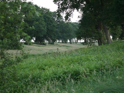 Surrounding environment, Chalet in Ootmarsum with Garden in Buitengebied Oostmarsum-West Surrounding environment, Chalet in Ootmarsum with Garden in Buitengebied Oostmarsum-West