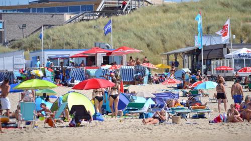 Beach, Zomerhuis Rita in Egmond aan Zee Beach, Zomerhuis Rita in Egmond aan Zee