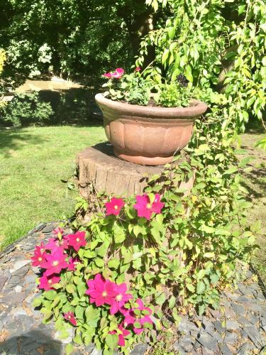 zahrada, Charming 1-Bedroom Apartment near South Downs in Hellingly zahrada, Charming 1-Bedroom Apartment near South Downs in Hellingly