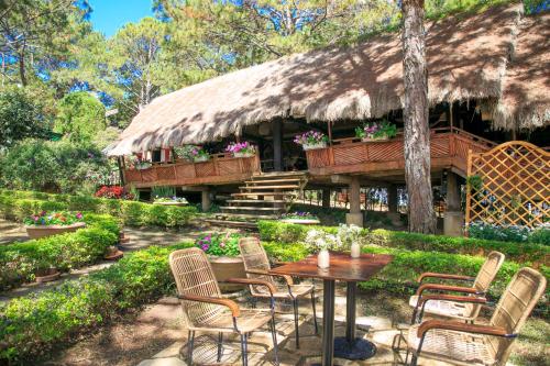 餐廳, TTC夢幻山度假村【無限次進入TTC世界-情人谷】 (TTC Dreamy Hill Resort (Unlimited Access to TTC World - Thung Lung Tinh Yeu)) near 心晴大叻真絲手工刺繡 餐廳, TTC夢幻山度假村【無限次進入TTC世界-情人谷】 (TTC Dreamy Hill Resort (Unlimited Access to TTC World - Thung Lung Tinh Yeu)) near 心晴大叻真絲手工刺繡