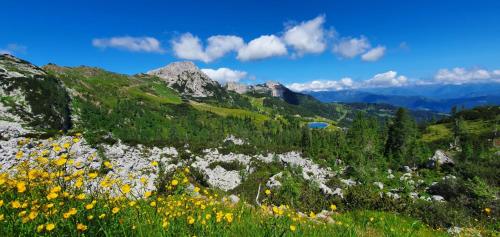 Almhaus Nassfeld in 黑馬戈爾 Almhaus Nassfeld in 黑馬戈爾