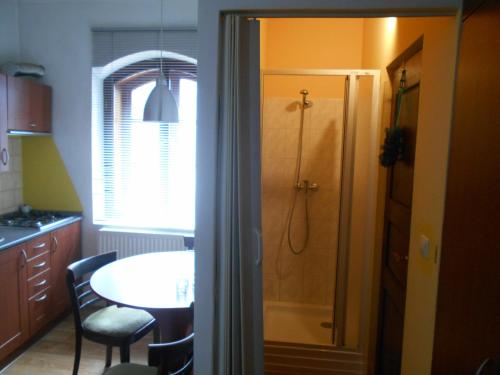 Kylpyhuone, Apartmán Pod Hradem (Apartman Pod Hradem) in Jindrichuv Hradec Kylpyhuone, Apartmán Pod Hradem (Apartman Pod Hradem) in Jindrichuv Hradec
