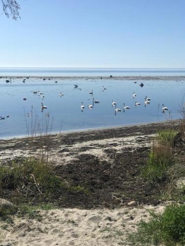 Osterlen - Skillinge in Skillinge Osterlen - Skillinge in Skillinge