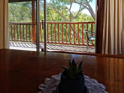 Balcony/terrace, Shady Creek Eco Cabin, Mudgee, Peaceful Country Getaway in Grattai Balcony/terrace, Shady Creek Eco Cabin, Mudgee, Peaceful Country Getaway in Grattai