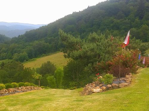 A környék, Leśny Dworek 1 (Lesny Dworek 1) in Wolkowyja A környék, Leśny Dworek 1 (Lesny Dworek 1) in Wolkowyja