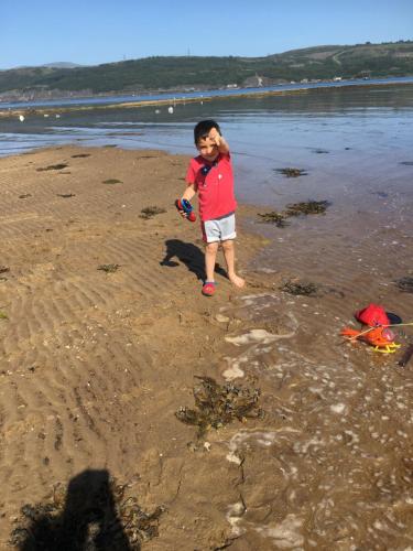Beach, The Castleton in Ardentinny Beach, The Castleton in Ardentinny