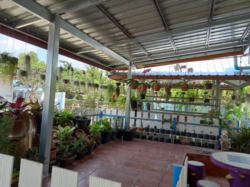 Balcony/terrace, Stay Ban Posai with Pool in Prakhon Chai Balcony/terrace, Stay Ban Posai with Pool in Prakhon Chai