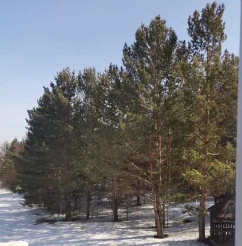Sport és szabadidő, Роев Ручеи in Sverdlovsky Sport és szabadidő, Роев Ручеи in Sverdlovsky