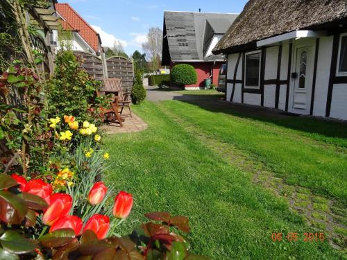 Haegerende _Alte Liebe_ in Zingst Haegerende _Alte Liebe_ in Zingst
