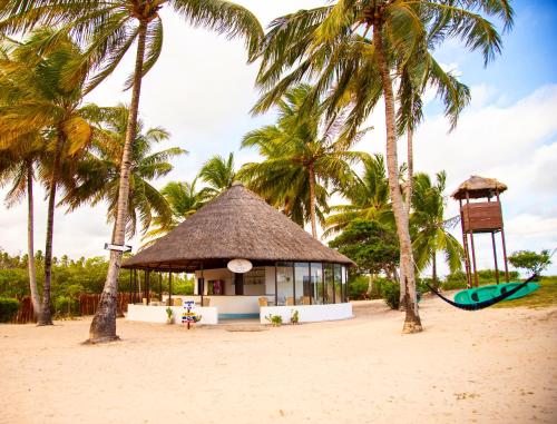 Beach, Hotel D'Anatureza in Ipioca Beach, Hotel D'Anatureza in Ipioca