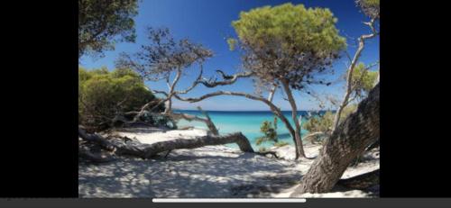 Résidence calme à 2 km de Saint-Florent (Residence calme a 2 km de Saint-Florent) in أوليتا Résidence calme à 2 km de Saint-Florent (Residence calme a 2 km de Saint-Florent) in أوليتا