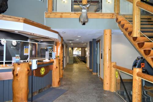 弗尼斯坦福度假酒店 (Fernie Stanford Resort) in 弗尼 弗尼斯坦福度假酒店 (Fernie Stanford Resort) in 弗尼