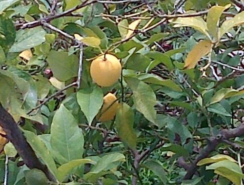 This photo about Villa Jadranka shared on HyHotel.com