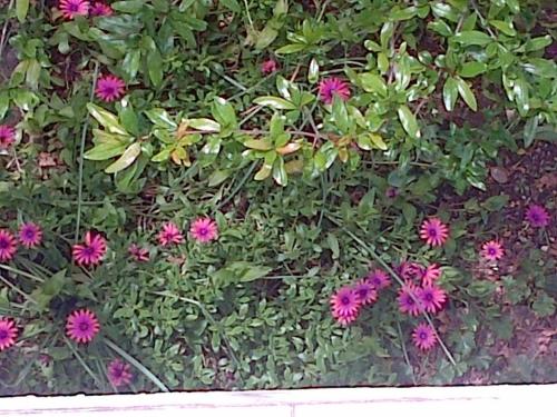 This photo about Villa Jadranka shared on HyHotel.com