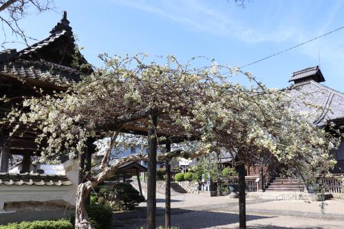 Exterior view, Temple Hotel 正暦寺 in Ayabe Exterior view, Temple Hotel 正暦寺 in Ayabe