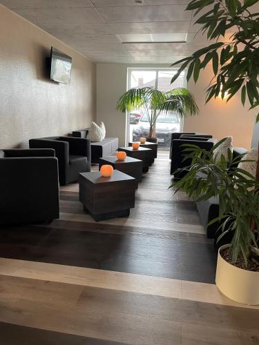 Bar/ Salón, Hotel Schlafplatz in Rodgau Bar/ Salón, Hotel Schlafplatz in Rodgau