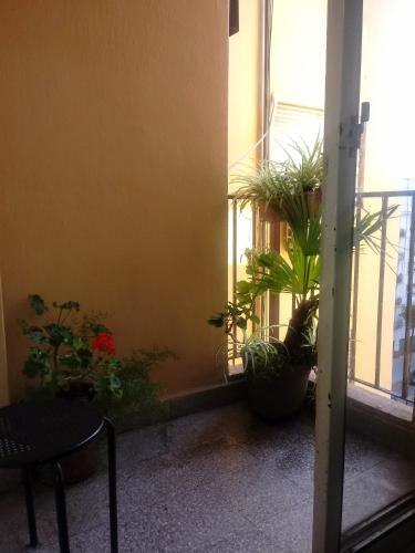 Facilities, Calido en Parque Lezama in Boca Facilities, Calido en Parque Lezama in Boca